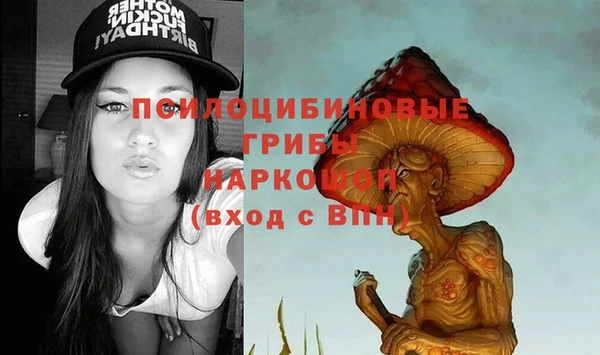 СК Алексин