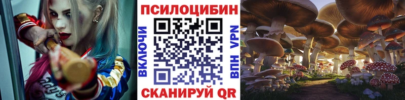 Псилоцибиновые грибы GOLDEN TEACHER  где можно купить наркотик  OMG tor  Мостовской 